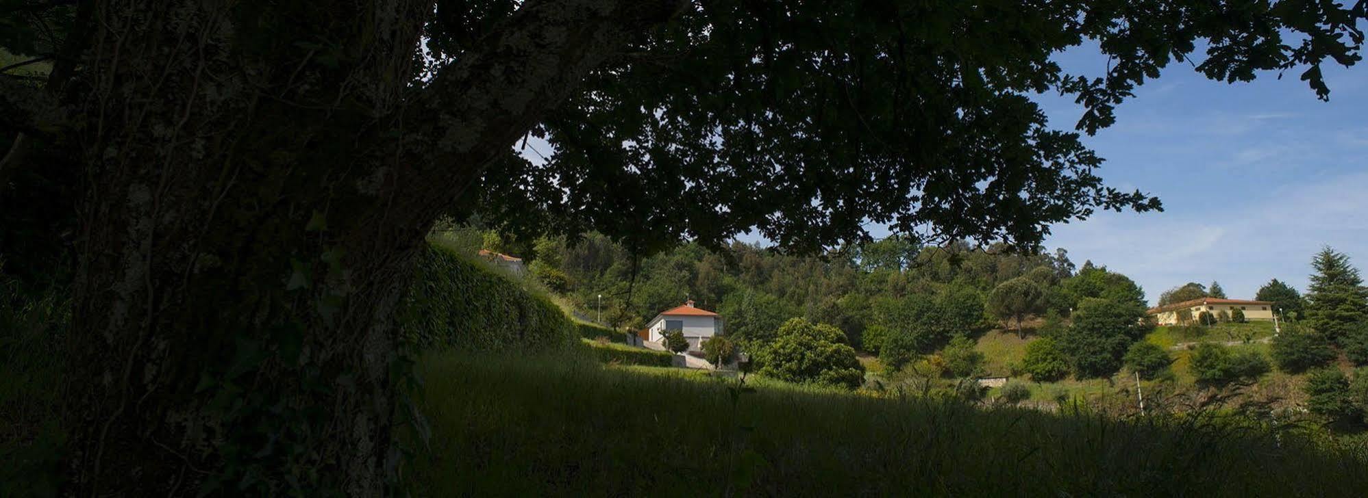 Quinta Do Fontelo Vila Vouzela Exterior foto